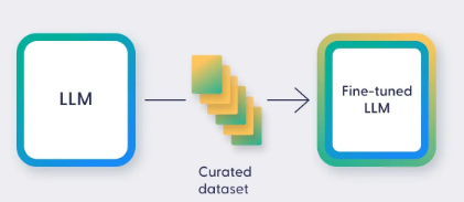 Finetune OVerview